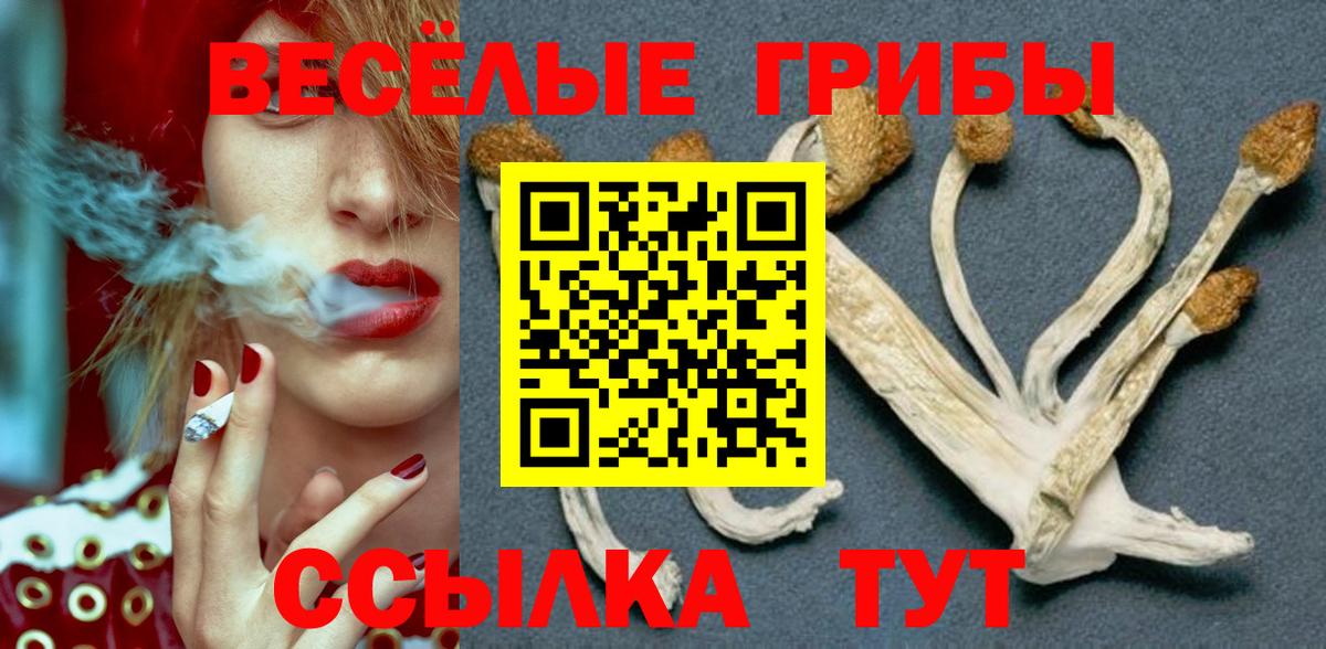 Галлюциногенные грибы Psilocybe  Вход с VPN  Самара  Галлюциногенные грибы Cubensis 